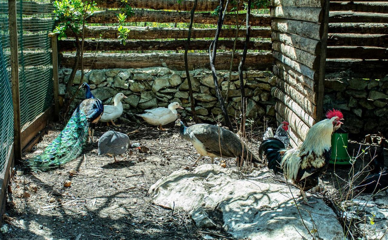 Casal Das Fontainhas Алкобаса Экстерьер фото