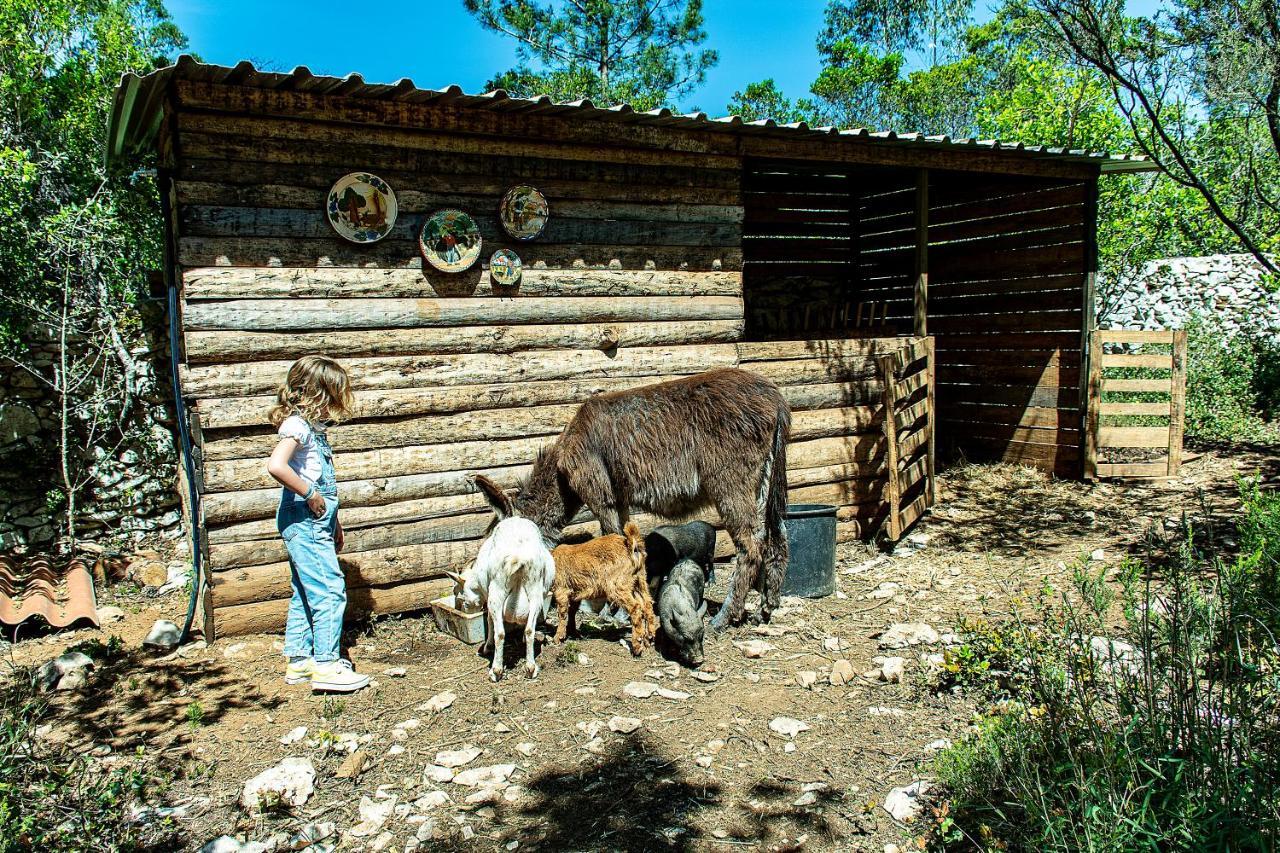 Casal Das Fontainhas Алкобаса Экстерьер фото